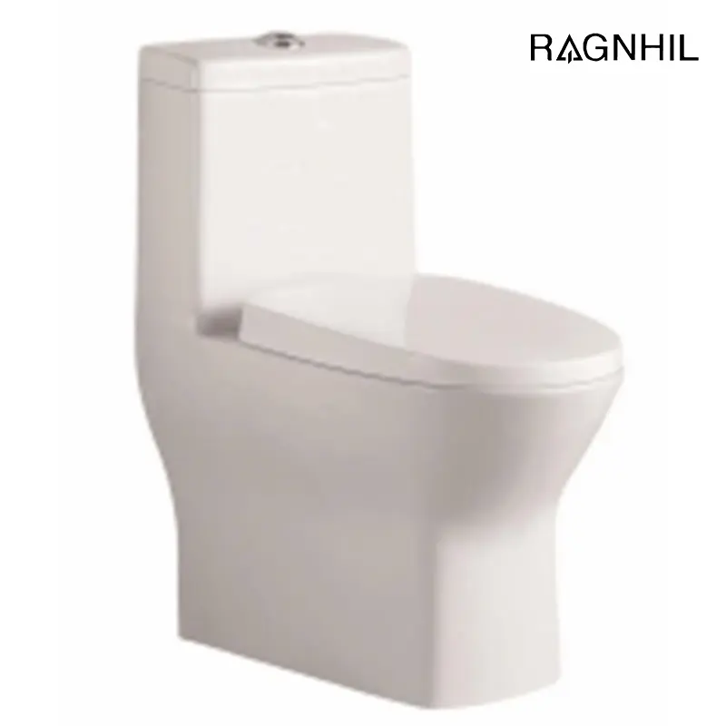 Classic Ceramic Toilet: Tim...