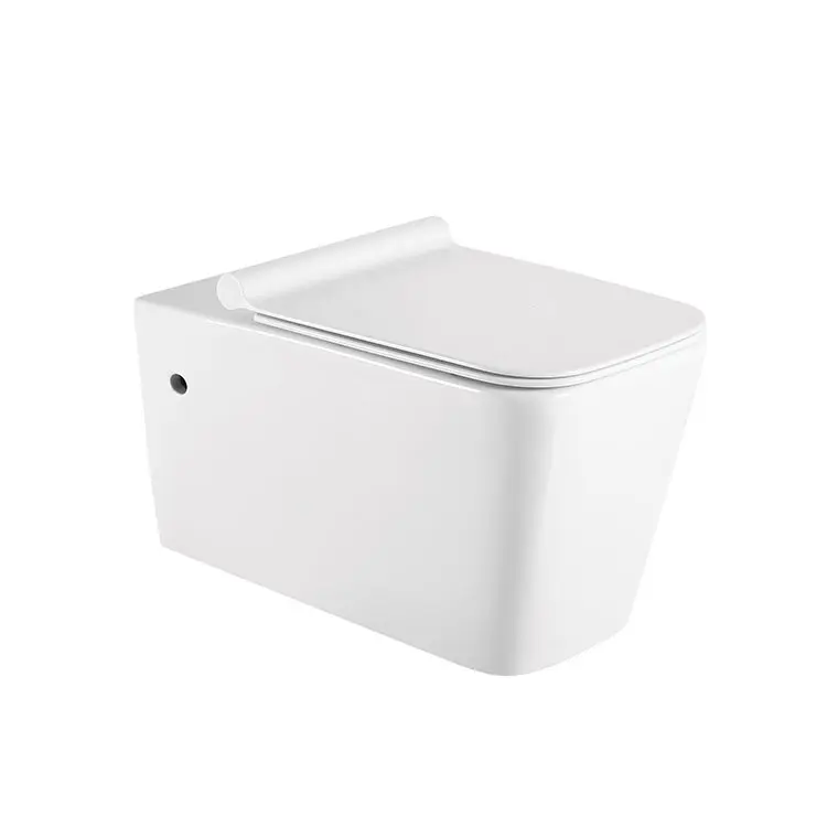 China Wholesale Ceramic Space-Saving Hanging Toilet