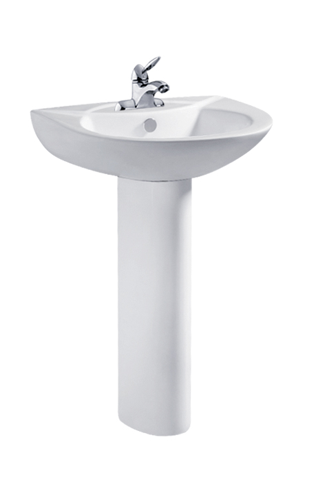 The Constantly-Questioned Pedestal Basin? It's an Absolute Hit!