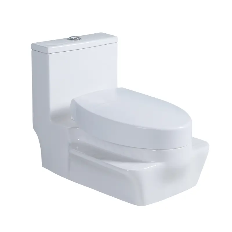 Sc1145 Dual - Function Squat & Sit Toilet: Convertible from Squat Pit