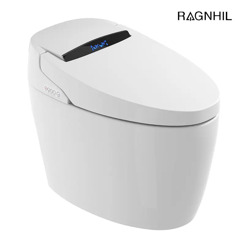 S601 Chinese Manufacturer of Automatic Smart Toilet Bowl