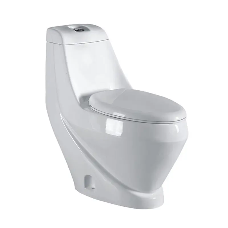 Washdown Flushing One Piece Wc Toilet Floor Standing Mounted