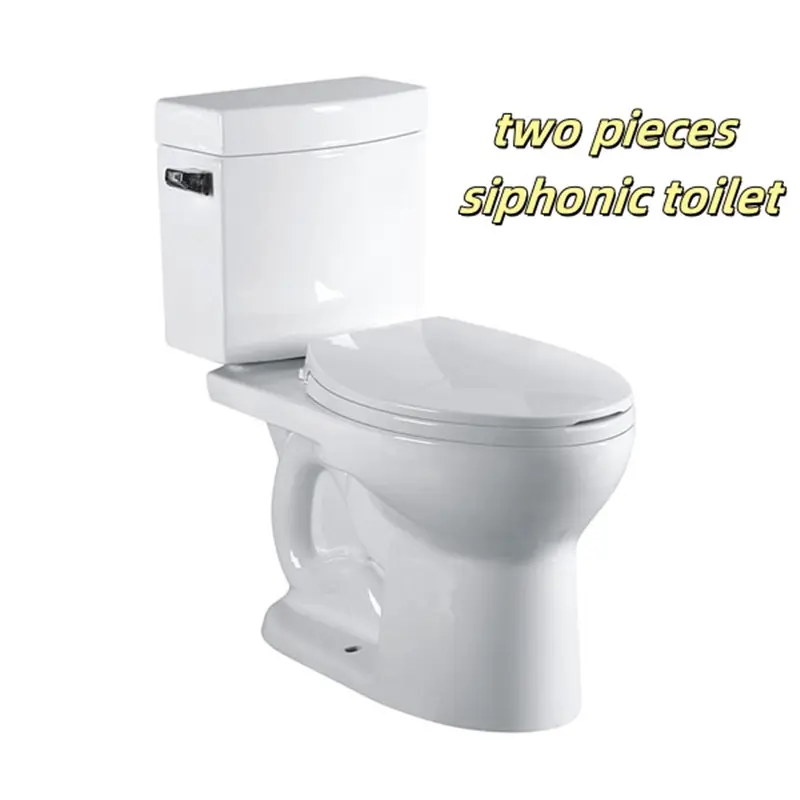 What Types of Toilets Are Used in the Bathrooms of China, The Uk, And the Us?