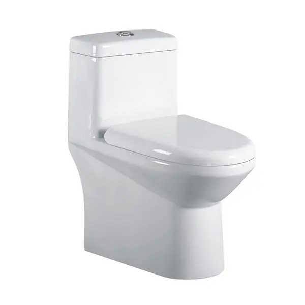 Top Quality One-piece Toilet : Enhance Your Bathroom Style Today!